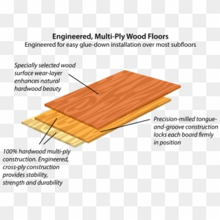 Engineered Hardwood Floors - Plywood Clipart