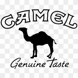 Camel Transparent Black Png - Camel Logo Vector Clipart