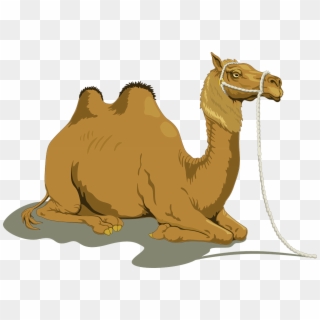 Download Png Image Report - Camel Sitting Clipart Transparent Png