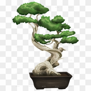 Bonsai Tree Png Clipart
