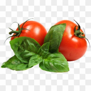 Tomato Png - High Res Tomato Png Clipart