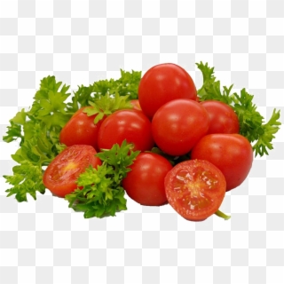 Fresh Tomato Png Free Download - Tomato Png Clipart