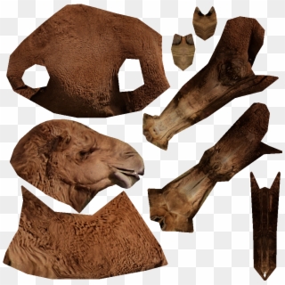 Camel - Thumb - - Masai Lion Clipart