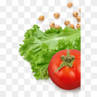 Lettuce And Tomatoes Png , Png Download - Tomatoes And Lettuce Png Clipart