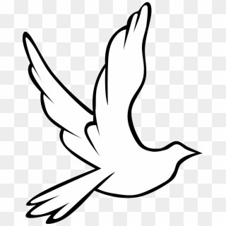 Free Flying White Bird Png Png Transparent Images - PikPng