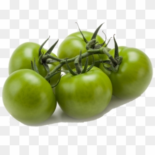 Green Vine Tomatoes - Cherry Tomatoes Clipart