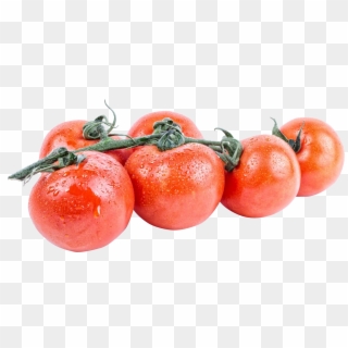 Bush Tomato Clipart