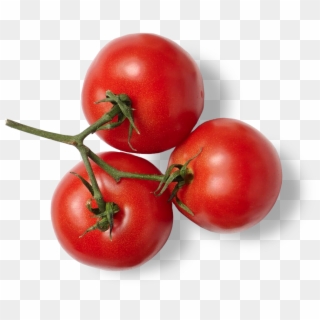 Menu - Plum Tomato Clipart