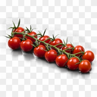 Tomate Jouno, The Market Leaders Clipart