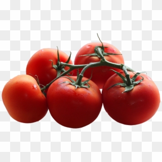 Free Png Download Tomatoes Branch Png Images Background - Transparent Background Tomatoes Png Clipart
