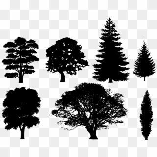 Draw A Tree Silhouette Clipart