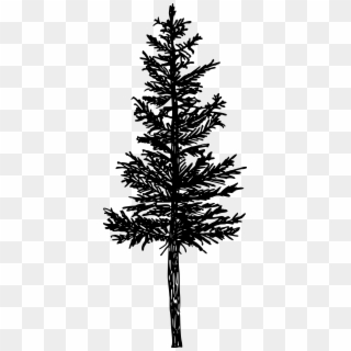 Free Download - Pine Silhouette Transparent Tree Clipart