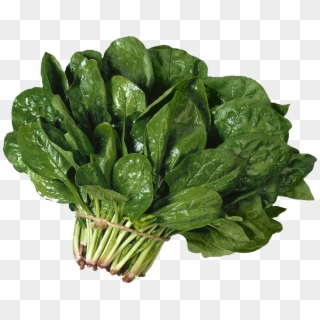 Spinach Images Png Clipart