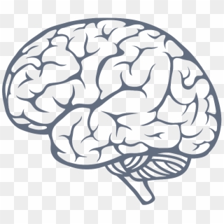 Brain Icon Png Image - Brain Png Clipart
