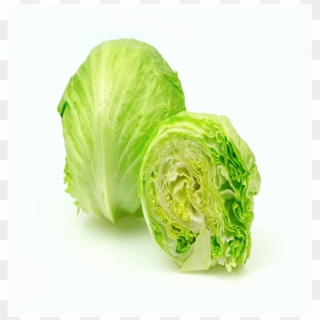 Lettuce - Iceburg Lettuce Clipart