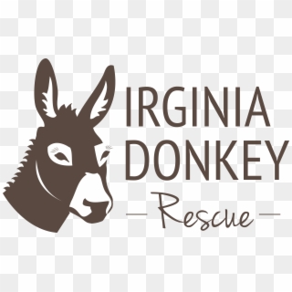 Donkey For Sale In Virginia Beach Clipart