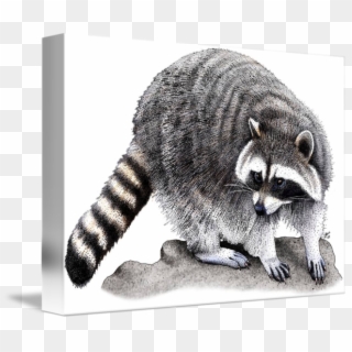 650 X 541 4 - Red Dead Redemption 2 Raccoon Clipart