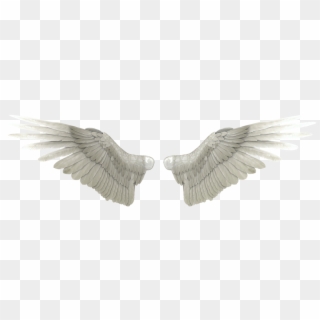 Angel Wings Png Transparent Transparent Background - Transparent Angel Wings Png Clipart