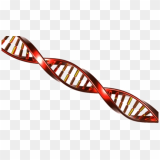 Dna String Red And Yellow - Red Dna Png Clipart