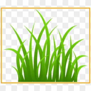 Free Png Download Grass Png Images Background Png Images - Grass Clip Art Transparent Png