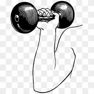 Dumbbell Png Clipart