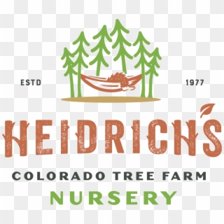 Welcome To Heidrich's Colorado Tree Farm Nursery - Canoe Clipart
