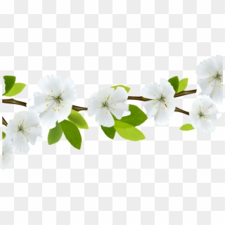 Spring Flowers Branches Transparent Png Stickpng - Transparent Background Floral Divider Clipart
