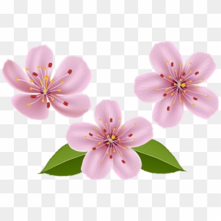 Free Png Download Spring Flowers Png Images Background - Spring Flower Clipart Transparent