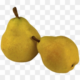 Ripe Pear Png Image - Pears Png Clipart