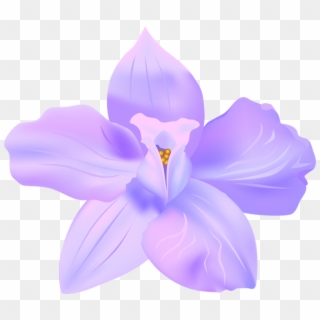 Violet Spring Flower Decorative Transparent Image - Lily Clipart