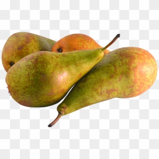 Free Png Pear Png - Pear Clipart