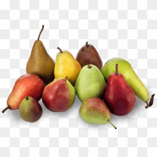 Adults Who Eat Pears Less Likely To Be Obese - Naka Pear Clipart