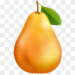 Asian Pear Clipart