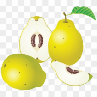 Fruit Clipart - Png Download