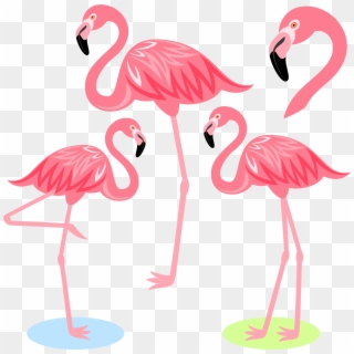 Flamingo Bird Illustration Cartoon Free Frame Clipart - Png Download