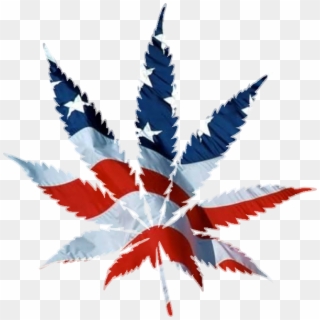 Home - Marijuana Leaf American Flag Png Clipart