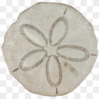 Us Know The Thrill Of Spotting A Little White, Round - Sand Dollar Clipart