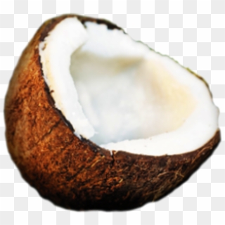Small - Coconut Ico Clipart
