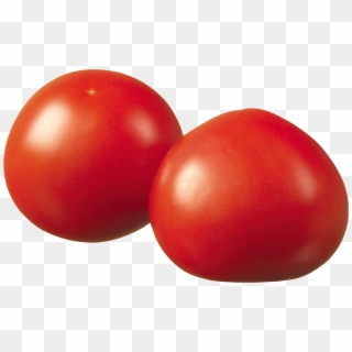 Red Tomatoes - Bush Tomato Clipart