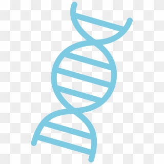 Dna Png Clipart