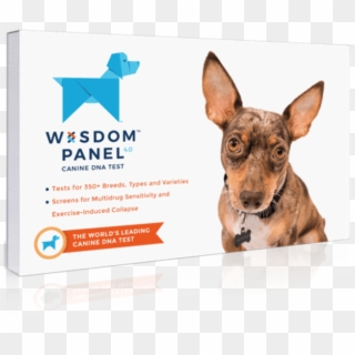 Wisdom Panel Dog Dna Test Clipart