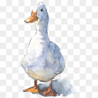 Duck Drawing Front Clipart
