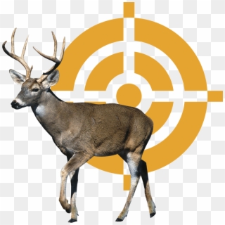 Ranking - Deer Clipart