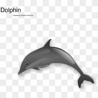 Png Image - Dolphin Clip Art Transparent Png