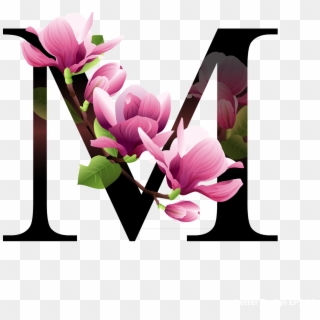 Alfabeto Decorativo Flores Png - Letter M Floral Design Clipart
