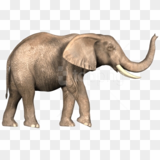 Bahubali Elephant Png Clipart