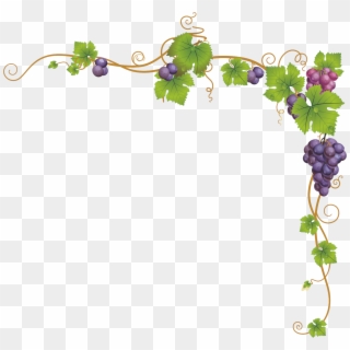 Church Service Child Dendrite Grape Vines Frame - Marco De Uvas Png Clipart