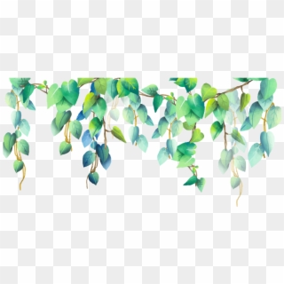 #green #plant #plants #png #pngstickers - Wild Leaves Border Png Clipart