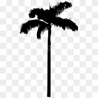 Free Png Palm Tree Png - Transparent Background Palm Tree Clipart Black