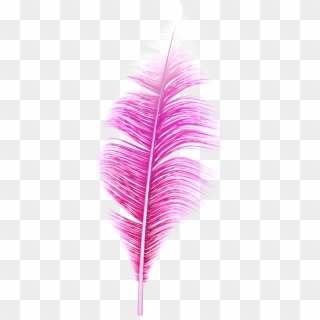 Pink Feather Png - Tree Clipart